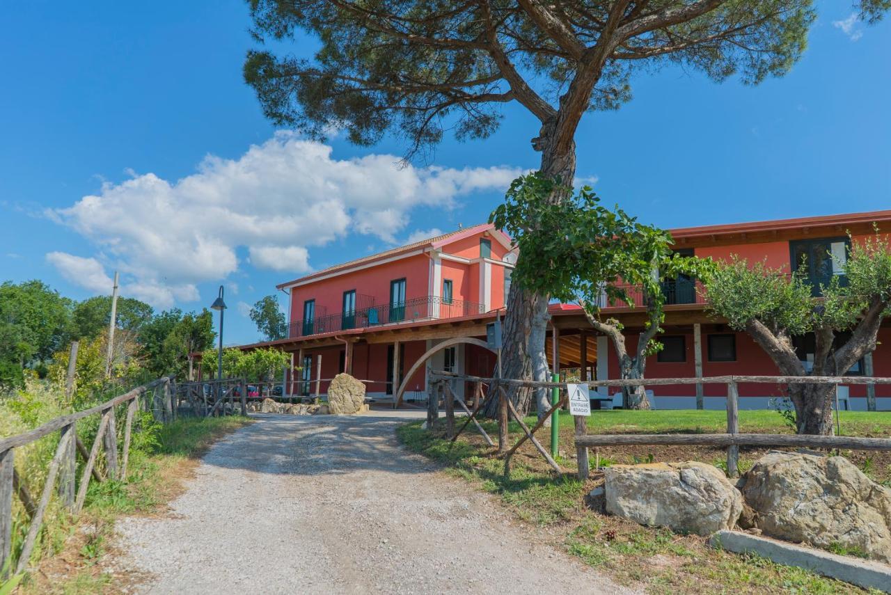 مبيت وإفطار Montecorvino Pugliano Terra Di Vento المظهر الخارجي الصورة